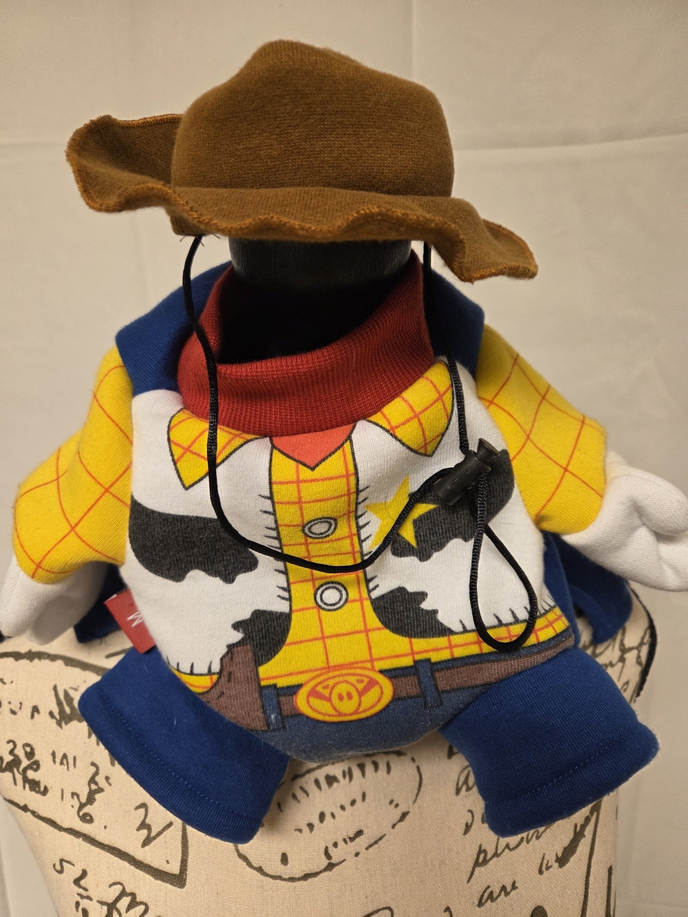 Disney Toy Story Woody Halloween Costume Medium